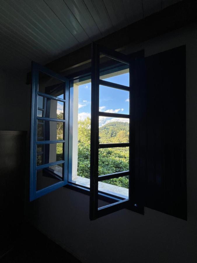 Casa Foresti Bento Gonçalves Extérieur photo